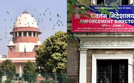 'Can't act like a crook': Supreme Court's stern words for ED; bench says agency must work 'within four corners of the law'