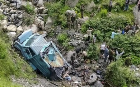 CRPF vehicle falls into Udhampur gorge, 2 jawans dead