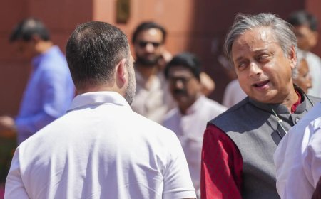 'Democracy too precious': Shashi Tharoor backs Rahul Gandhi’s 'vote chori' claim; urges immediate action