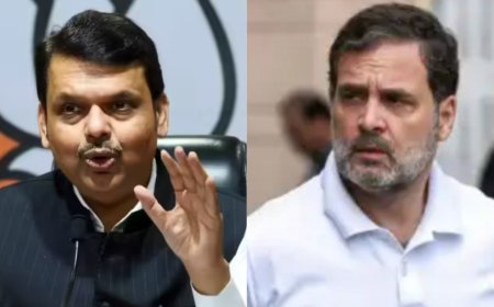 'Script by Salim-Javed': Fadnavis mocks Rahul's 'vote chori' claims; says Congress chief is speaking fiction