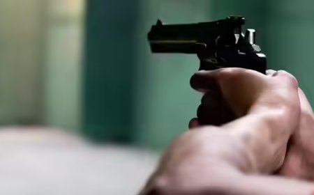 Arms licence case: HC seeks status report on prosecution sanction of 8 IAS officers