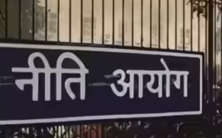 Niti withdraws paper on GM crops import from US, signals govt stand