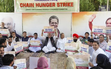 J&K: Congress starts hunger strikes for statehood, allies missing