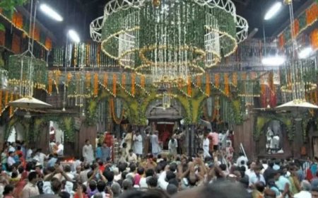 SC sets up panel led by ex-HC judge for Banke Bihari temple