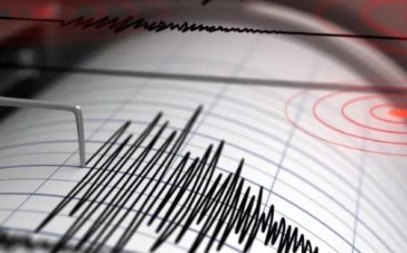 Haryana tremors: 3.1 magnitude hits Jhajjar, no casualties reported