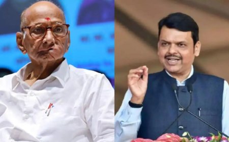 Did you use 'vote-riggers', Fadnavis asks Sharad Pawar