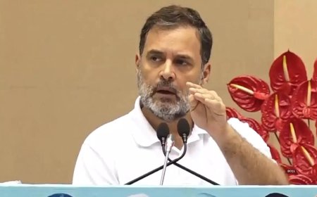 Rahul, oppn parties acting as tools of foreign powers: BJP