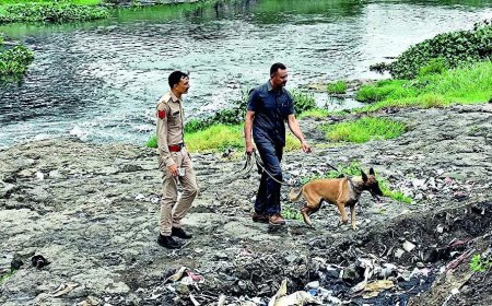 Man tries mend ties with ex-wife, his 2nd spouse mutilates genitals