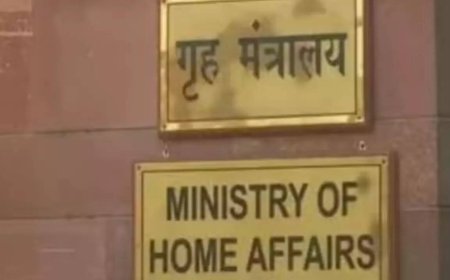 'Ensures representation': MHA defends LG's nominations to J&K assembly; submits affidavit to HC
