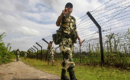 J&K: BSF troops shoot and injure ‘Pakistani intruder’ in Kathua district; man tried to cross border despite warnings