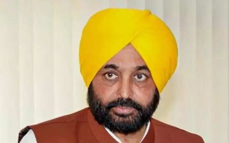 Punjab: AAP govt withdraws land pooling policy amid opposition from political parties, farmer bodies