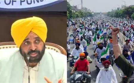 Facing farmers' flak, Punjab govt scraps land pooling policy