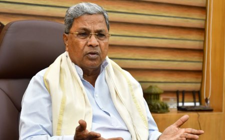 'Vaccination, community care work': Siddaramaiah backs Rahul Gandhi on stray dogs order; opposes 'fear-driven' measures