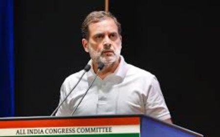 'Vote-chori in 48 Lok Sabha seats': Rahul Gandhi tells Congress leaders - Report