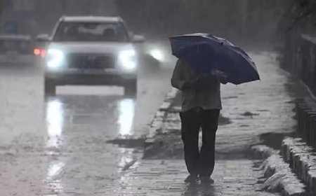 Heavy rains force school closure in 3 J&K districts