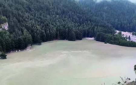 Forces manually drain out temporary lake in Harsil