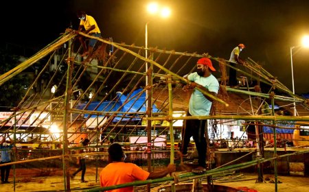 Dadar Kabutarkhana row: BMC says planning controlled feeding of pigeons; Bombay HC says public must be heard first