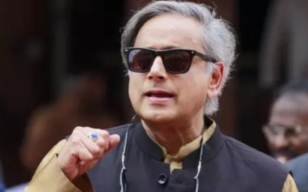 'Flaw in our system': Shashi Tharoor weighs in on SC dog relocation order; urges redirection of funds to NGOs