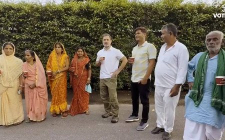 SIR row: Rahul Gandhi's high tea with 'dead people'; SC says electoral rolls bound for revision- top developments