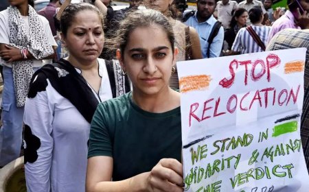 Delhi stray dogs issue: CJI refers matter to 3-judge bench of SC; hearing on Thursday