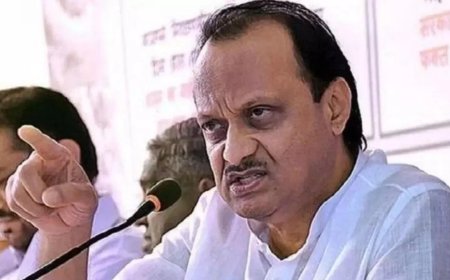 Wrong to ban meat sale in civic areas on Aug 15: Ajit Pawar
