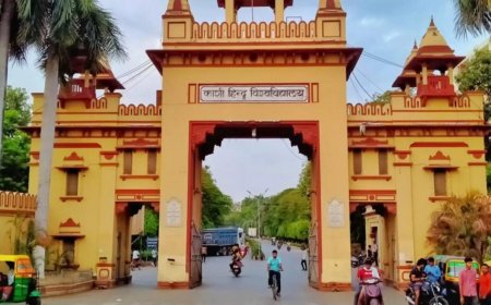 Ex-BHU dept head hires hitman to kill successor