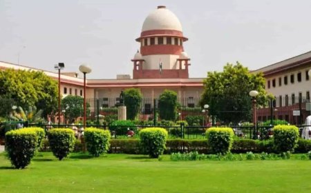 Adoption law frustrating, needs to be simplified: Supreme Court