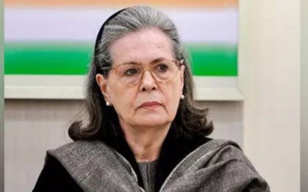 'Ask your paw paw ...': Congress mocks BJP's Sonia Gandhi voter row; calls it 'good photoshop'