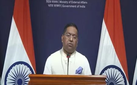 Israel-Gaza war: India reaffirms call for ceasefire, two-state solution; urges uninterrupted aid supply