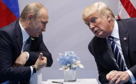 'Pursuit of peace highly commendable': India's first reaction to Trump-Putin meeting; 'want to see early end to Ukraine conflict'