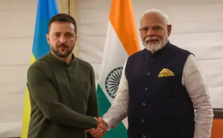 'We wish Ukraine...': PM Modi thanks Zelenskyy for Independence Day greetings; calls for closer ties
