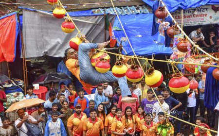 2 die, 95 injured during Mum dahi handi festivities