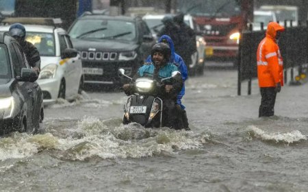 Mumbai rains: Heavy showers flood roads, railway tracks; bring city to standstill - video