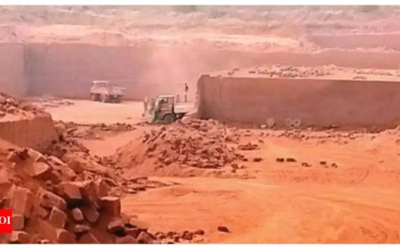 Govt moves to expedite green nod for mining critical minerals