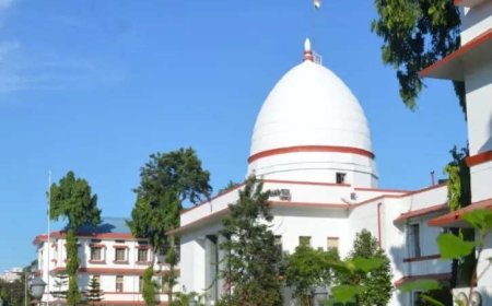 HC sees red as Assam hands over 3k bigha of land to cement company