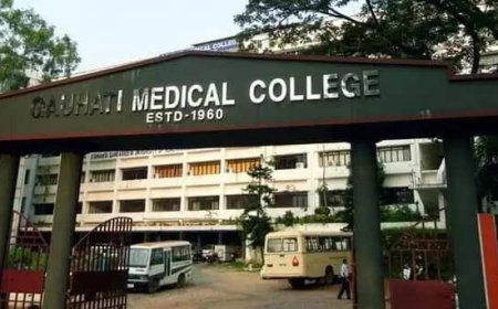 4-day-old dies after fall in ICU, probe ordered