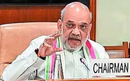 PM, CMs, mins to go if held for 30 days on serious charges: Bills