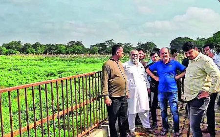 On walk, ex-Cong councillor in Gujarat stabbed to death