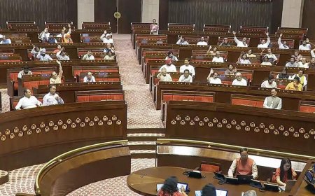 RS chair: Don't share expunged speeches on social media