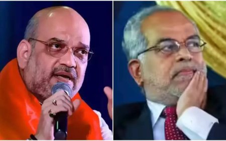 Amit Shah accuses INDIA bloc's VP candidate of supporting Naxalism; targets him with 2011 judgment - what he said