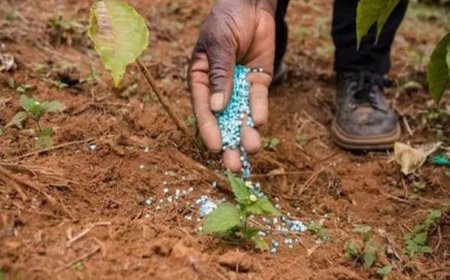 Parliament panel slams fertiliser sector’s 'Non-Strategic' tag, calls it misaligned with Atmanirbhar Bharat goals