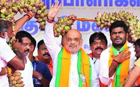 Oppositon VP pick has 'ideological support' for Naxalism: Shah