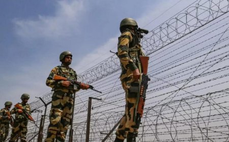 BSF nabs senior Bangladesh cop; infiltration attempt foiled; handed over to Bengal police