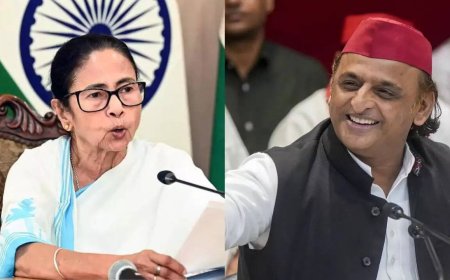 Didi, SP won't join JPC on bill on dismissal of PM & CMs