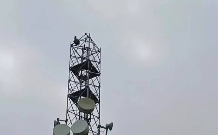 Watch: Bhadohi man recreates Sholay-inspired water tanker stunt; arrested after falling for fake online girlfriend