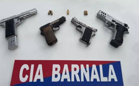 Barnala police arrest four members of a gang, 4 weapons recovered