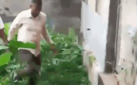 Jumped wall, threw phone in drain: How TMC MLA tried to evade ED, only to be later arrested - Video