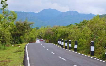 Nearly 30% of private cars on Delhi-Chandigarh highway using annual pass