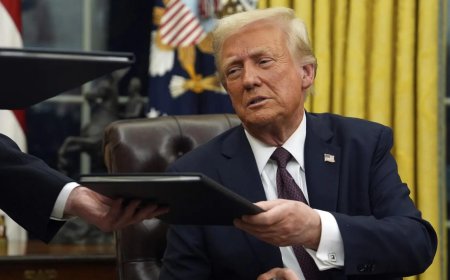 'Obstacles to free trade': German envoy backs India on Trump tariffs; calls for slashing duties to minimum