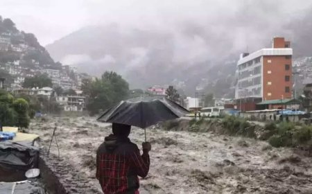 Wettest monsoon in north India in 12 years